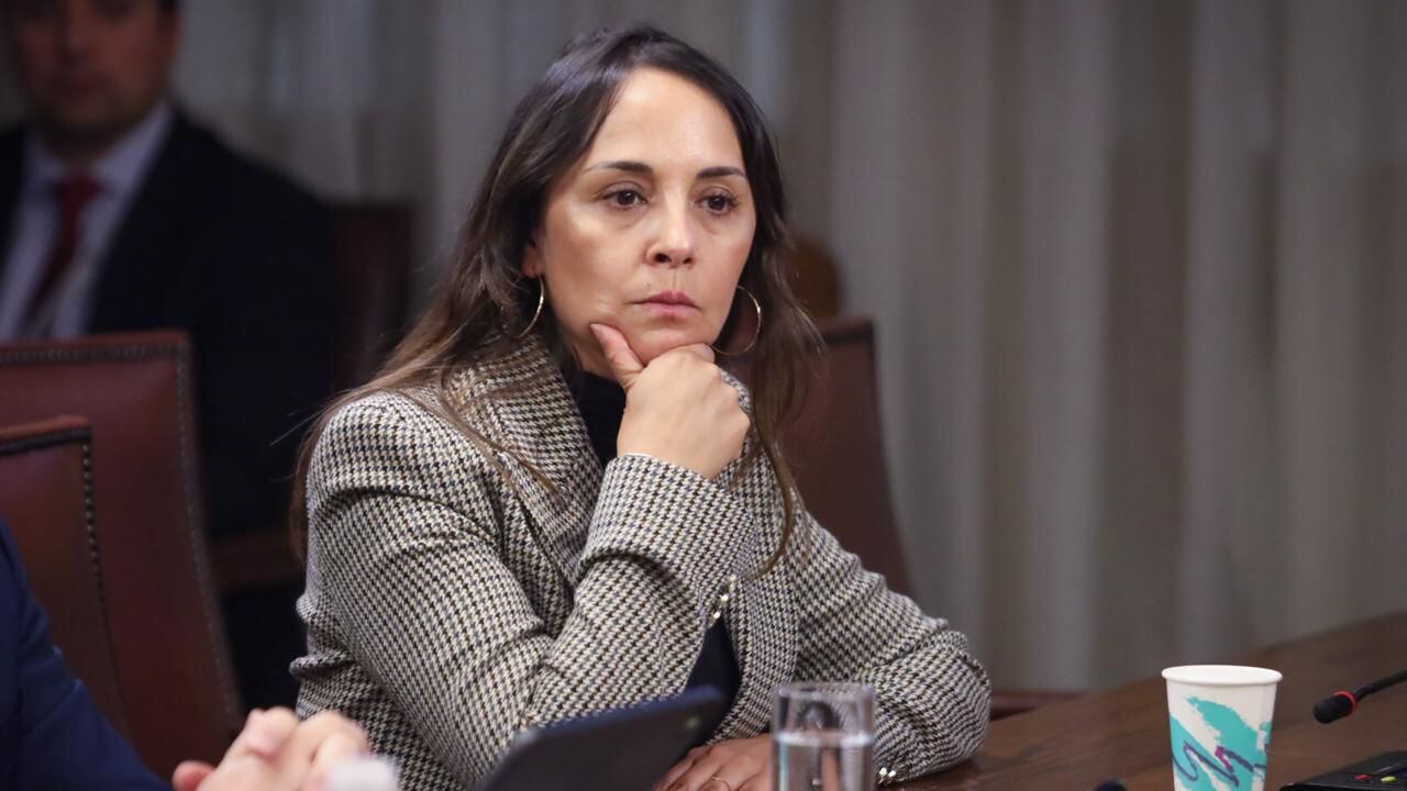 Diputada Carla Morales