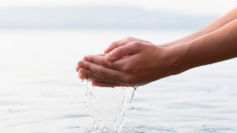 Vista de primer plano del concepto de naturaleza.