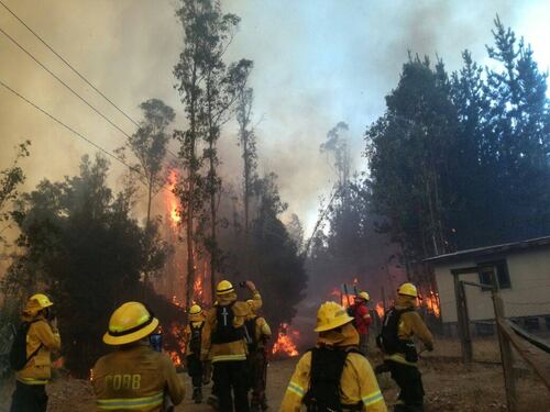 Incendios forestales: la historia de los 30 brigadistas colombianos que luchan contra el fuego en la región del Biobío