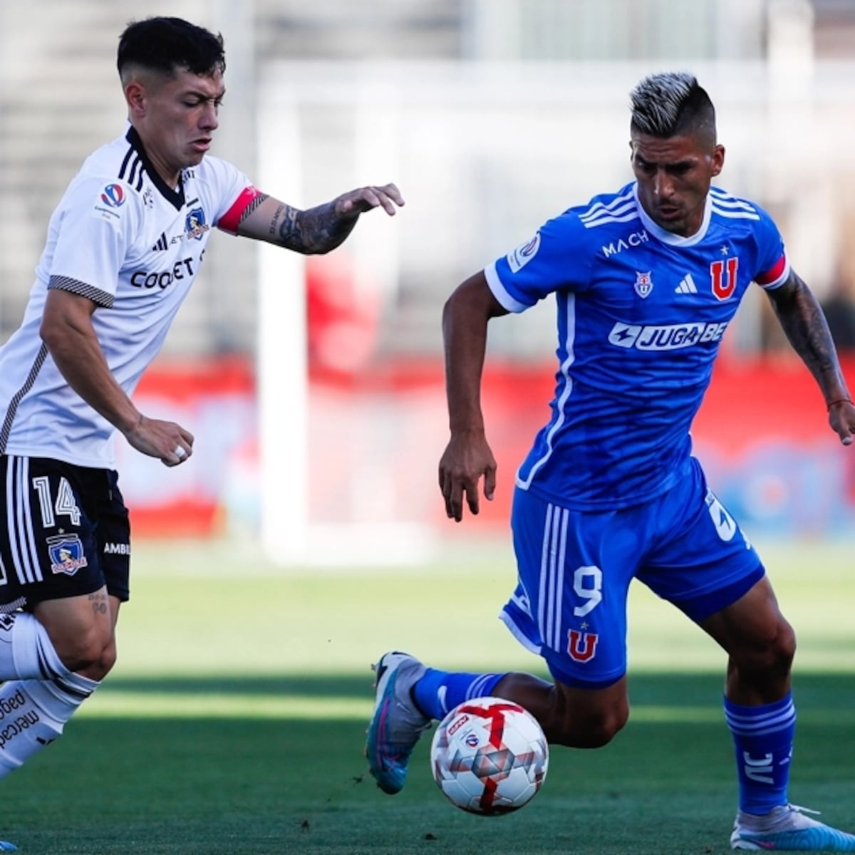 Colo Colo desmiente suspensión del Superclásico ante la U Colo Colo desmiente suspensión del Superclásico ante la U