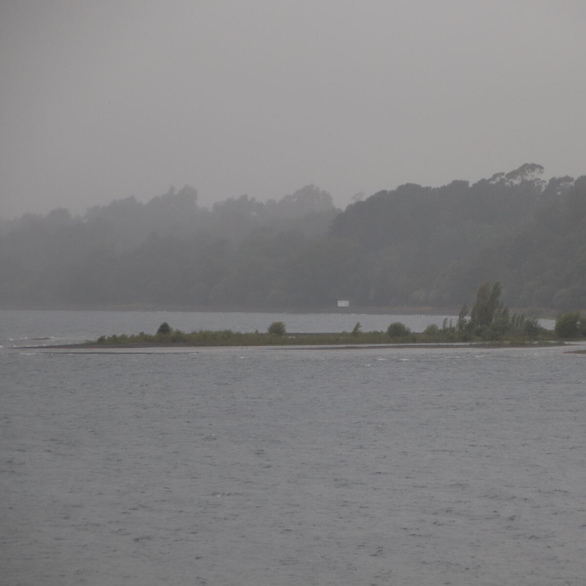 Alcalde de Lago Ranco rechaza tour en zona de fallecimiento de Piñera Alcalde de Lago Ranco rechaza tour en zona de fallecimiento de Piñera