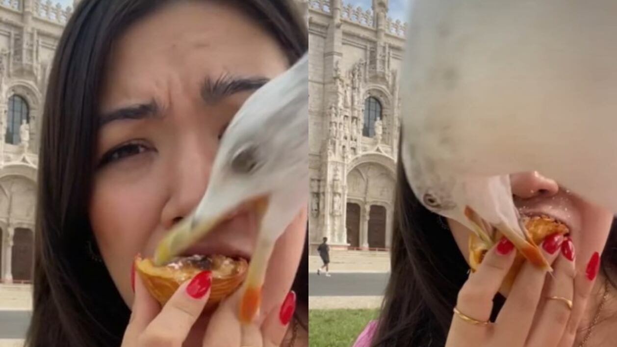 El video se volvió viral