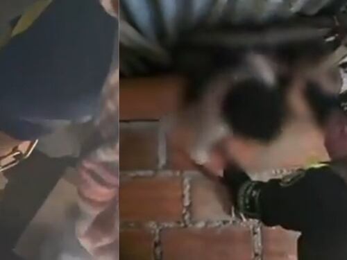 Desalmados: Rescatan a dos niños que estaban encadenados y abandonados en una vivienda