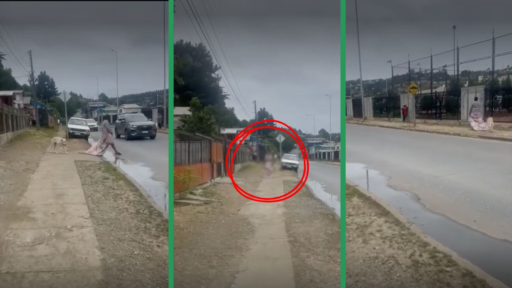 Mujer que grabó gritó frases directas como “¡Voy a llamar a Carabineros!” y “¡Váyase de acá!” mientras registraba todo.