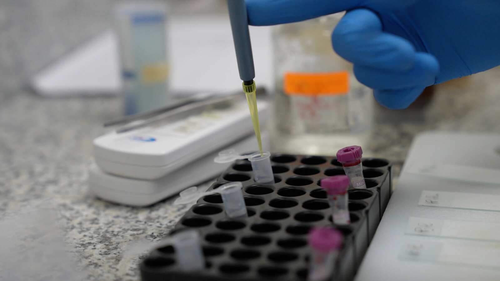 Acciones y toma de muestras ante la gripe aviar en Galápagos