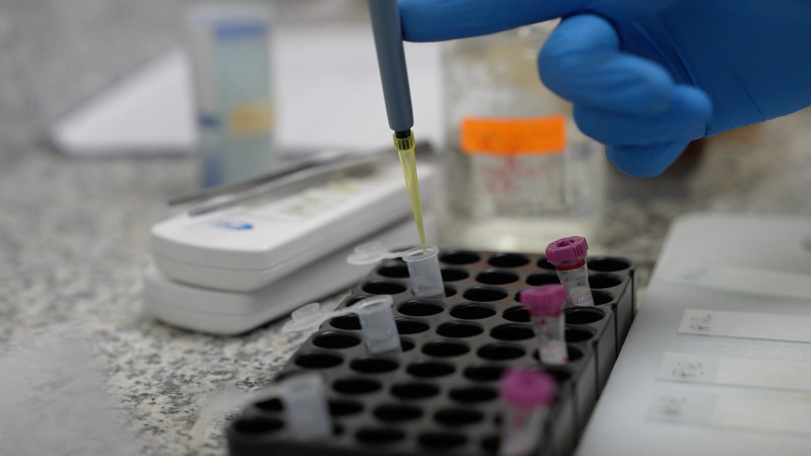 Acciones y toma de muestras ante la gripe aviar en Galápagos