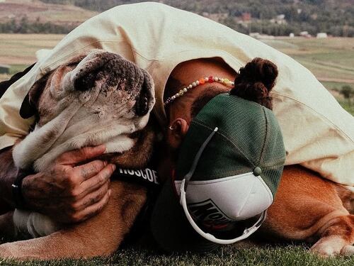 Lewis Hamilton de luto tras sufrir la muerte de Roscoe: Así fue su desgarrador adiós