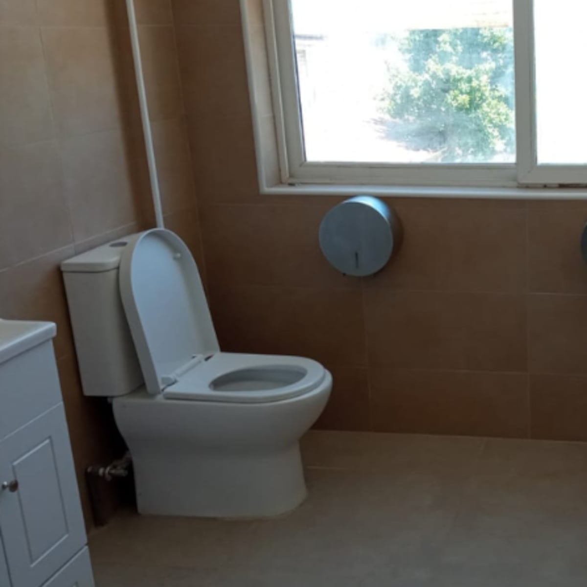 Inodoros enfrentados en baños municipales generan controversia Inodoros enfrentados en baños municipales generan controversia