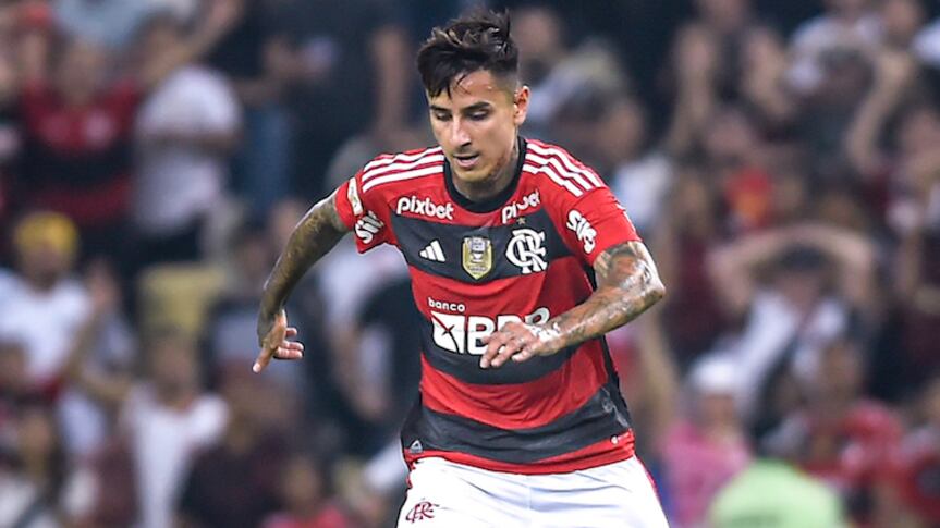 Erick Pulgar / Flamengo