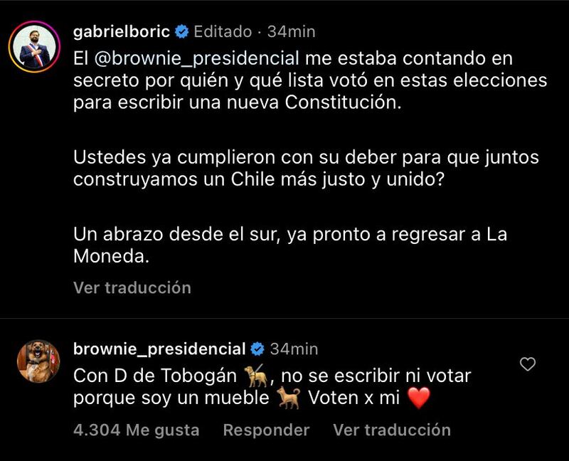 Brownie perro presidencial