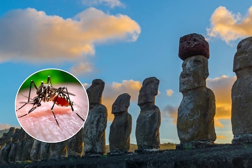 Mantienen Alerta Amarilla en Rapa Nui por brote de dengue que ya alcanza 24 casos