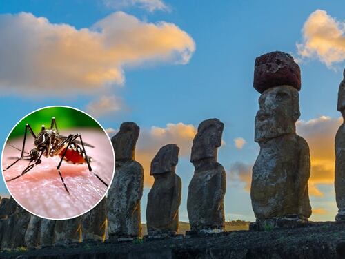 Mantienen Alerta Amarilla en Rapa Nui por brote de dengue que ya alcanza 24 casos