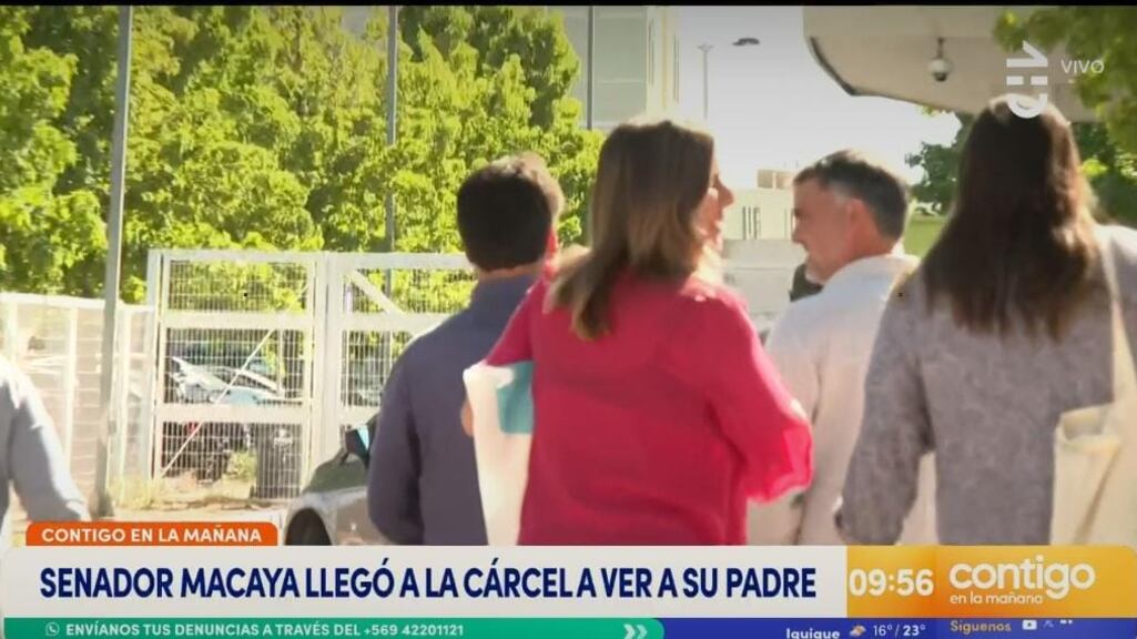 Senador Javier Macaya.