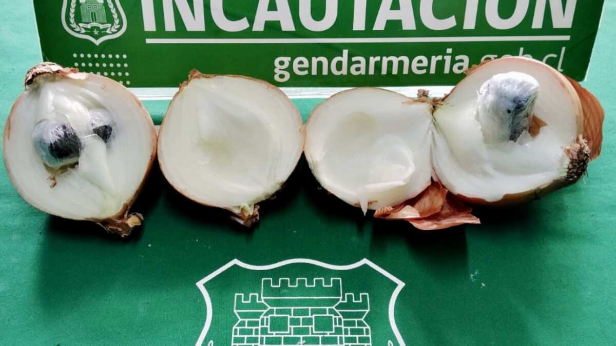 Foto web/ BioBío Chile