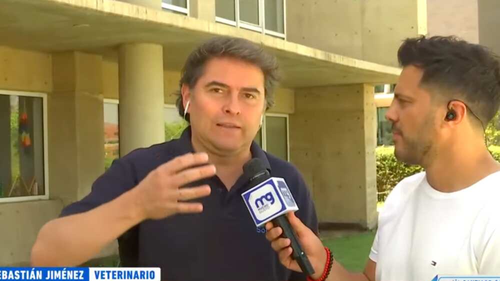 Sebastián Jiménez "Lindorfo" | Captura: Mega