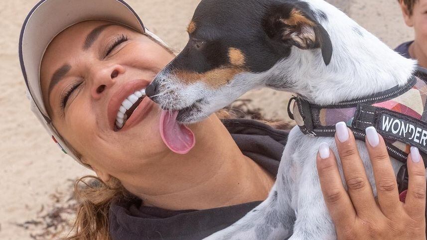 La panelista del programa "Tal cual" enterneció las redes sociales con los nuevos registros publicados de "Juventus", el cachorro que adoptó luego de encontrarlo en situación de calle en un bosque.