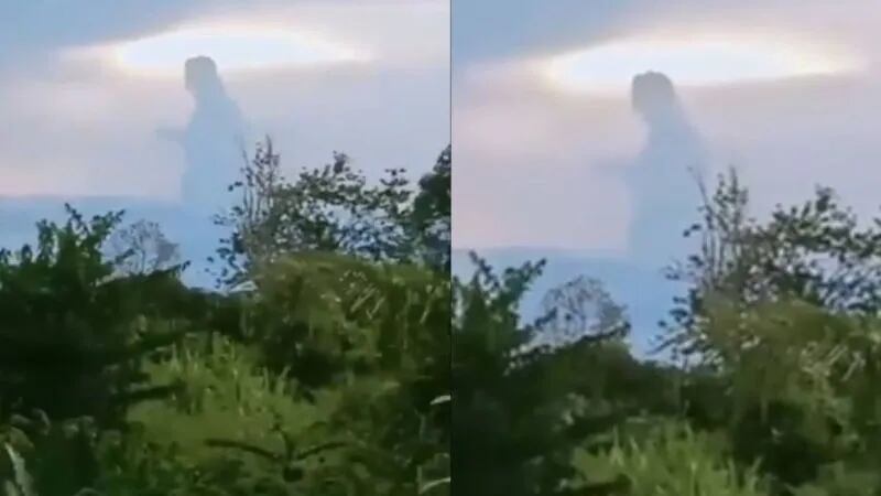 La naturaleza es sorprendente