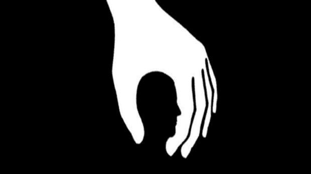 ¿Qué ves en la imagen?