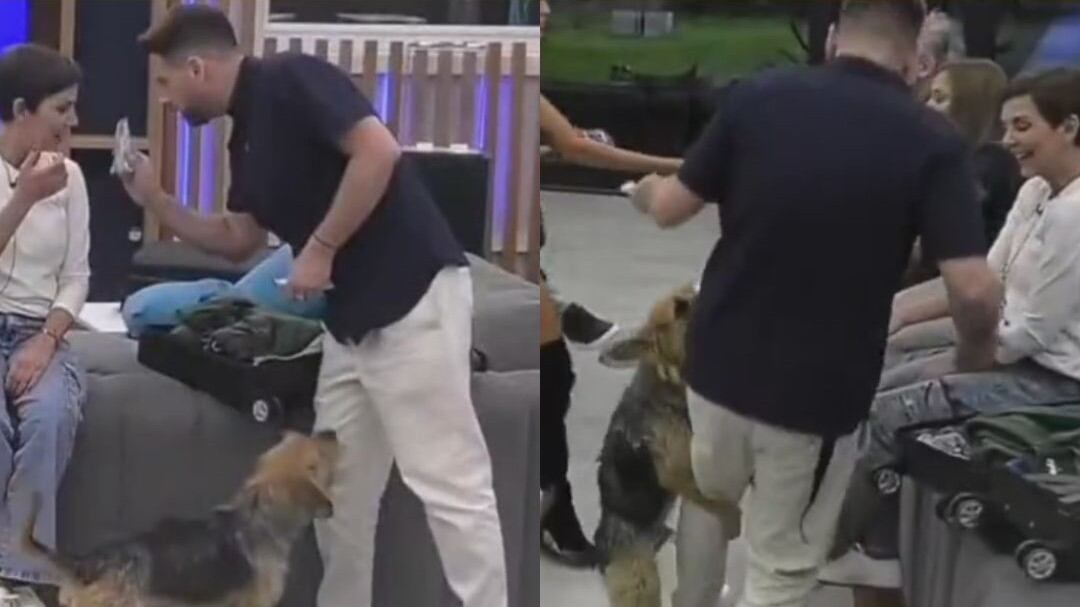 Michael Roldán y Bigote, Captura de Gran Hermano