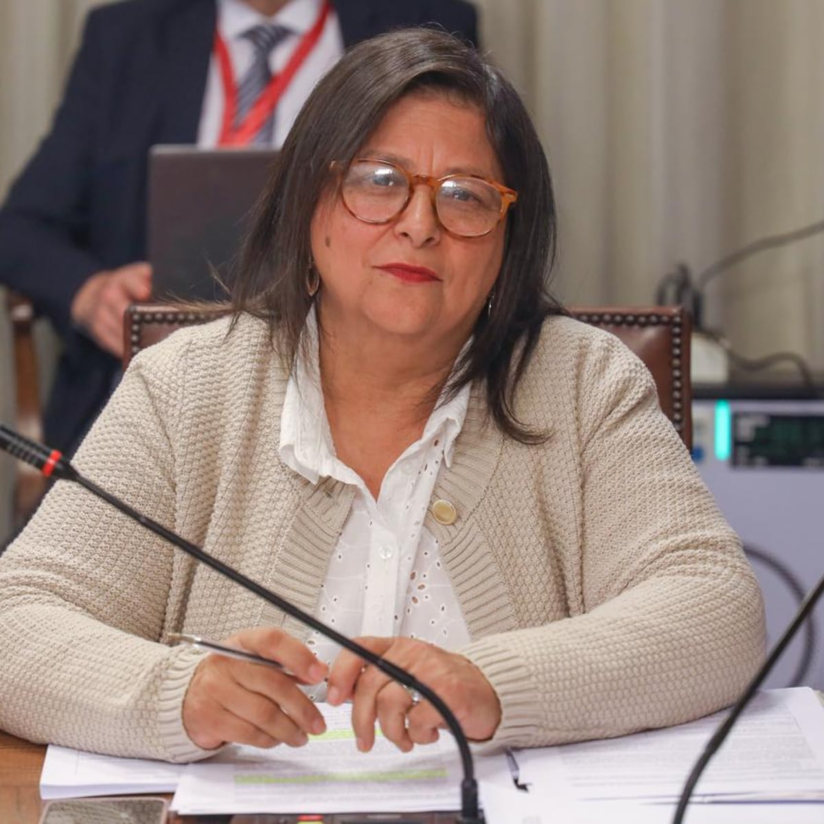 Subsecretaria de la Mujer no se identifica como feminista Subsecretaria de la Mujer no se identifica como feminista