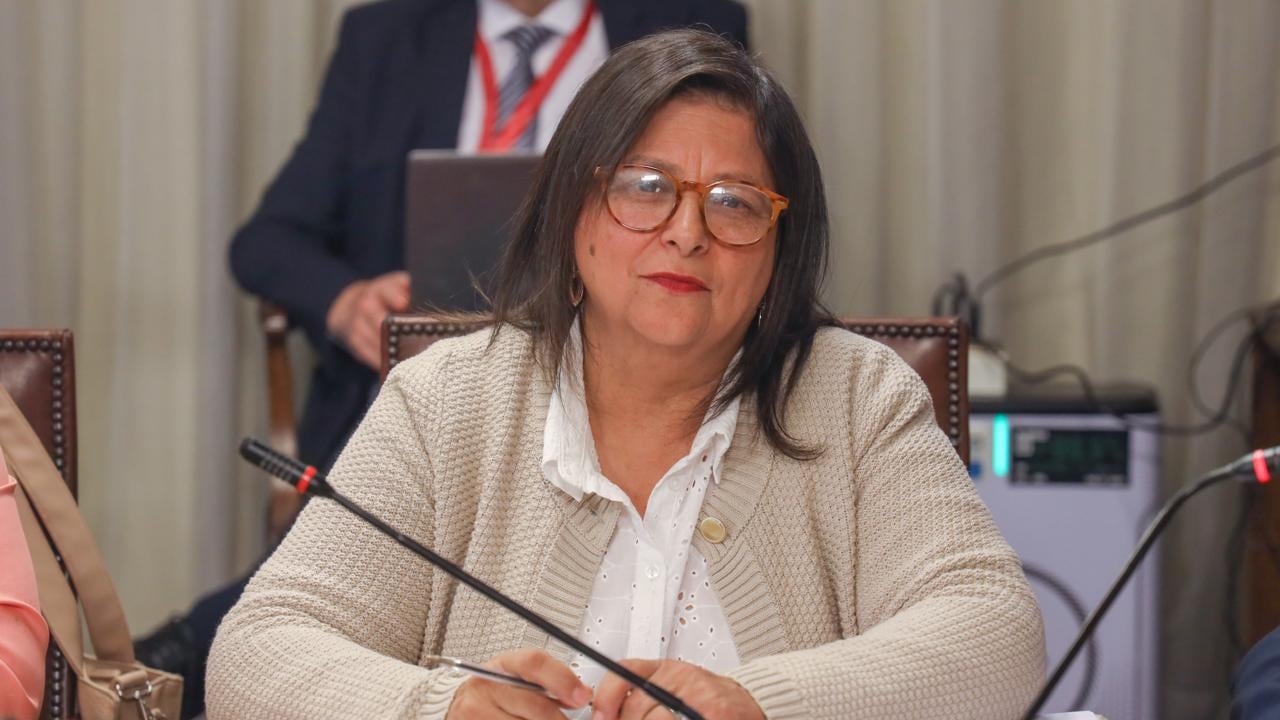 Diputada Marcia Raphael