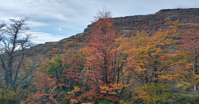 Ruta Rupestre Patagonia | Fuente: Publimetro