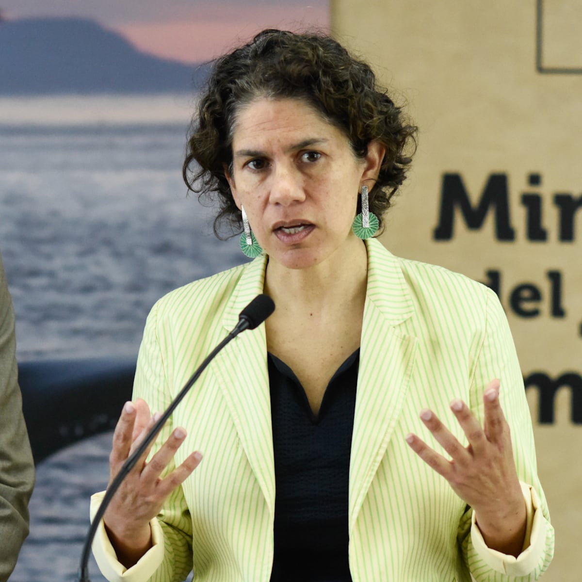 Dominga: Nuevos intentos para evitar otro rechazo del proyecto Dominga: Nuevos intentos para evitar otro rechazo del proyecto