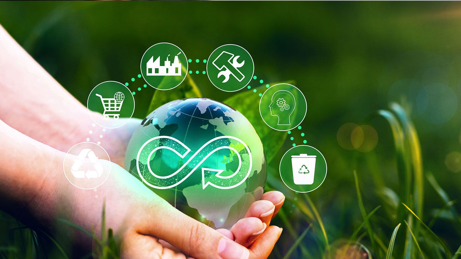 Economía circular; la nueva forma de vida sustentable