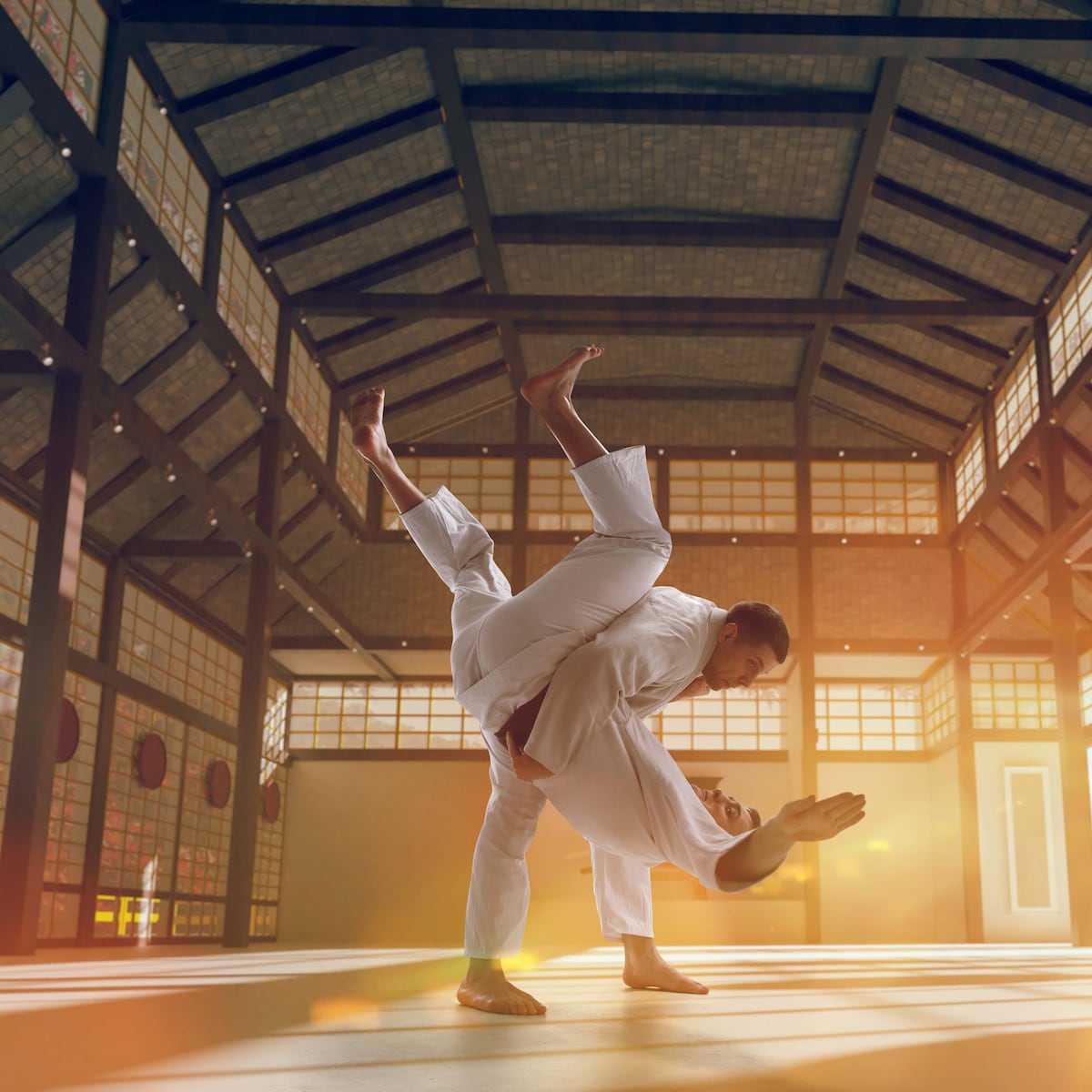 Karate: equilibrio entre fuerza y paz Karate: equilibrio entre fuerza y paz