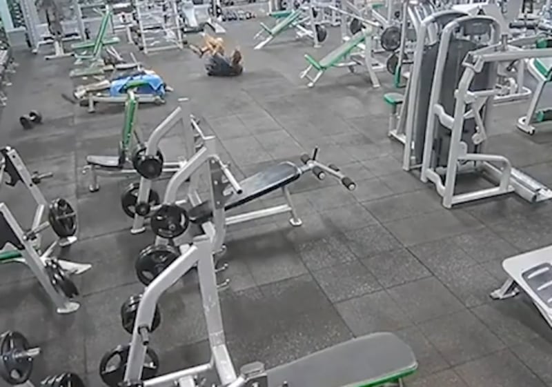 pesa de 20 kilos cae sobre la cabeza de la víctima en el gimnasio.