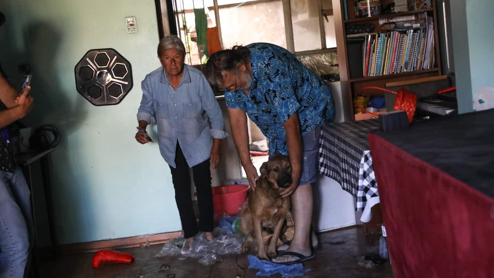Rescate de La Florida de perro abandonado