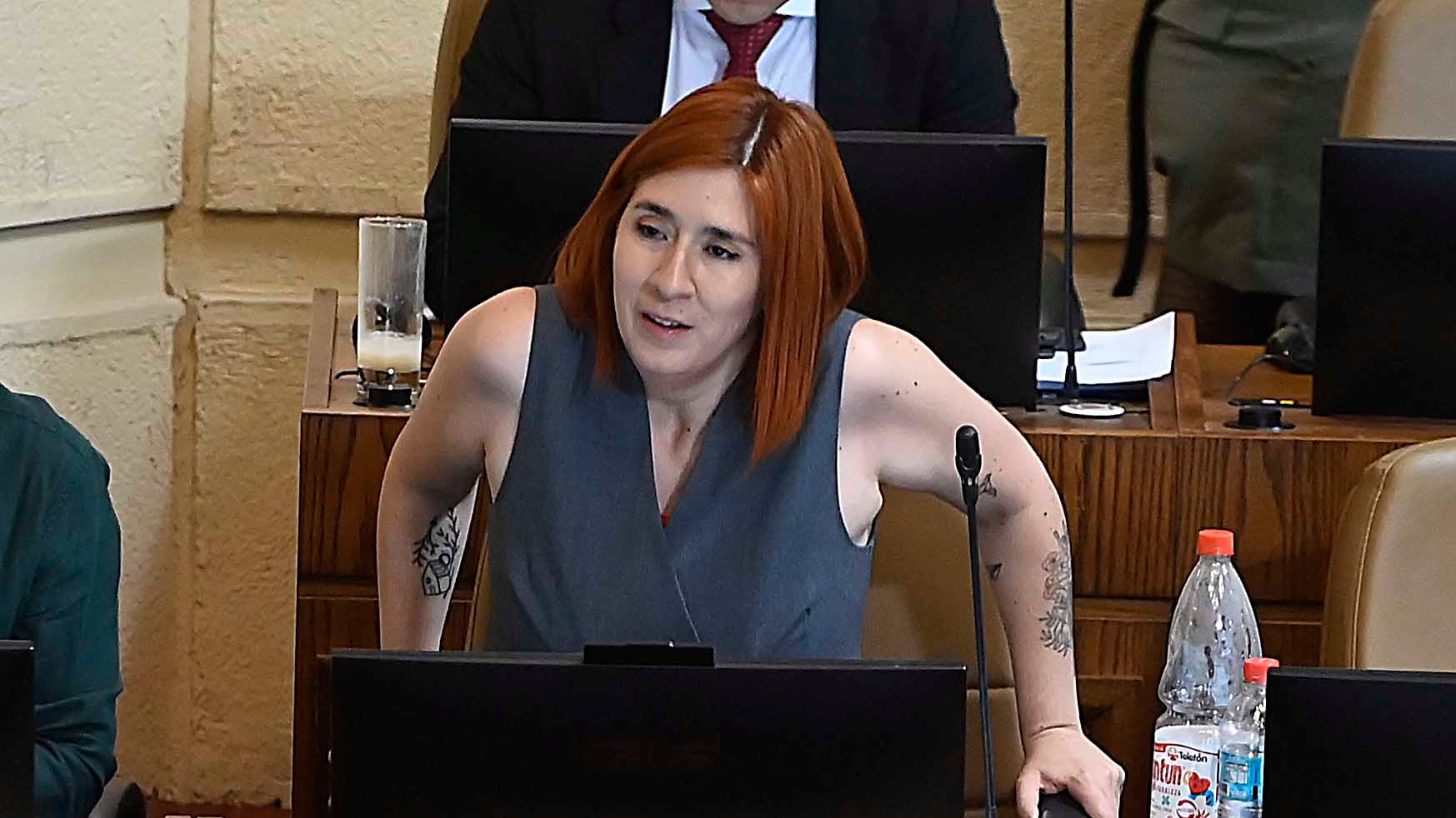 Catalina Pérez, en la sesión de ayer de la Cámara de Diputados. / AGENCIAUNO