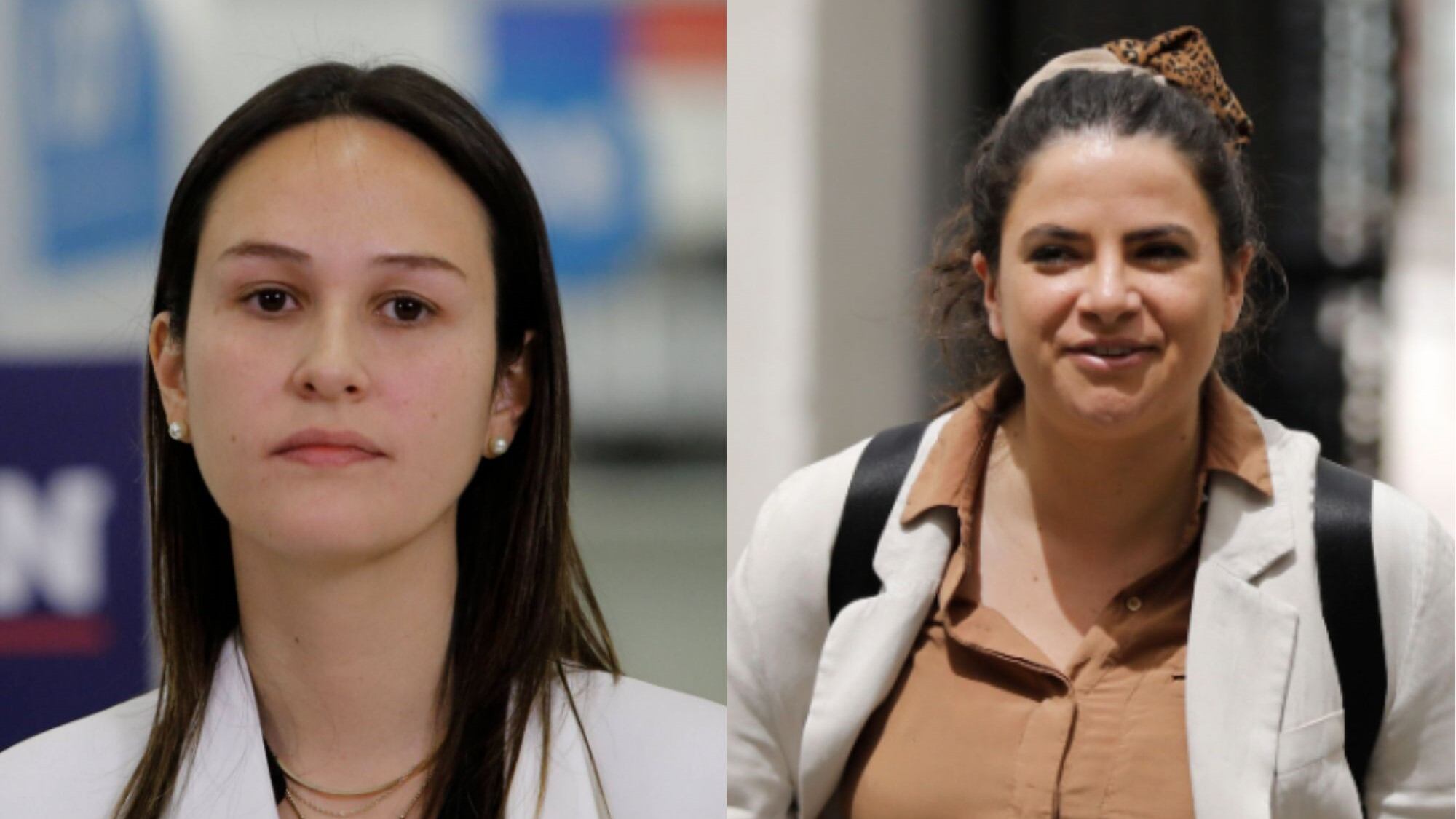 Paula Labra (RN) cuestionó a la ministra de la Mujer de la Mujer y Equidad de Género, Antonia Orellana | Captura