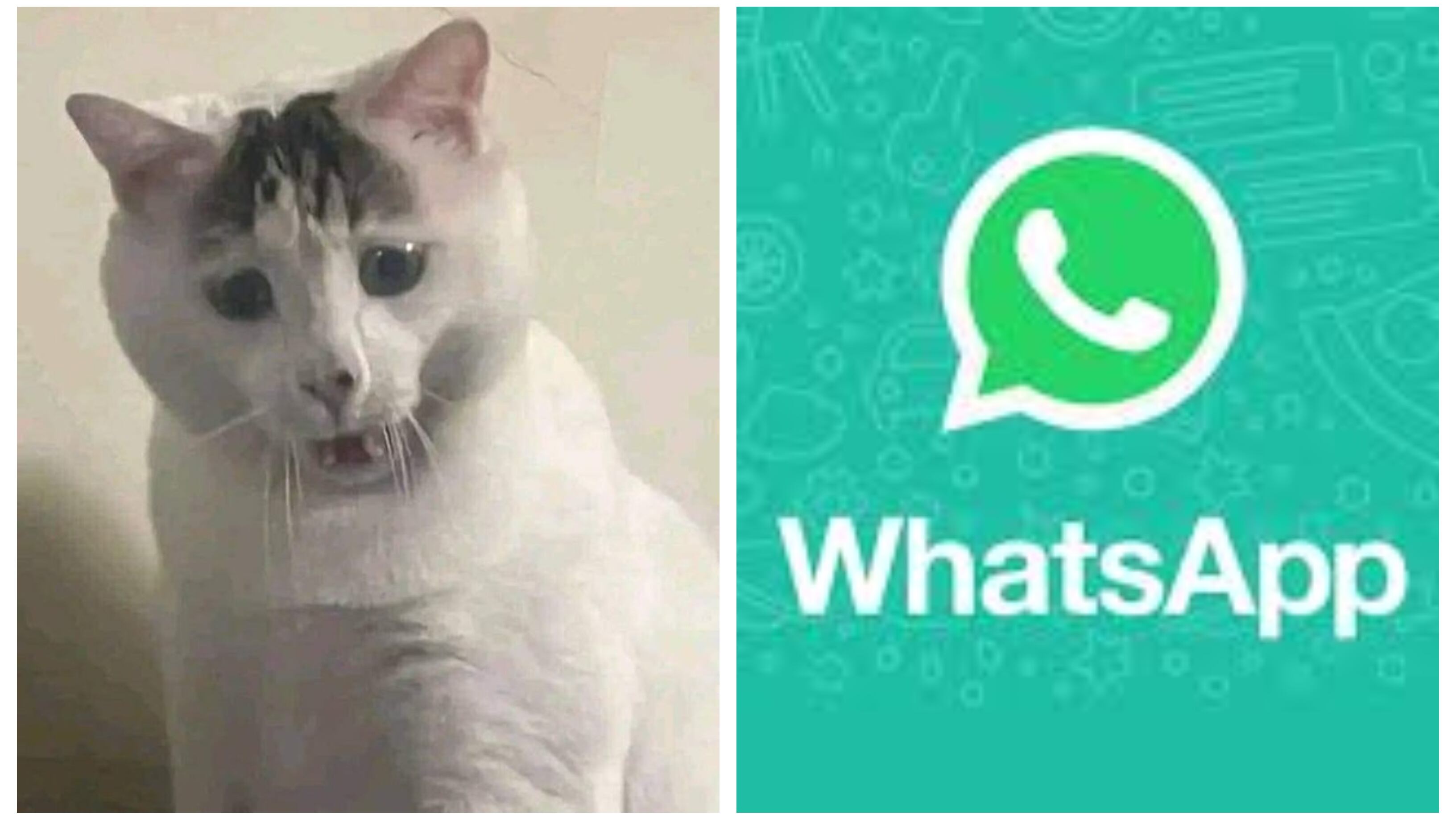 Tanto el servicio de mensajería de Meta como Instagram y Facebook presentaron una caída de más de una hora este miércoles 3 de abril.