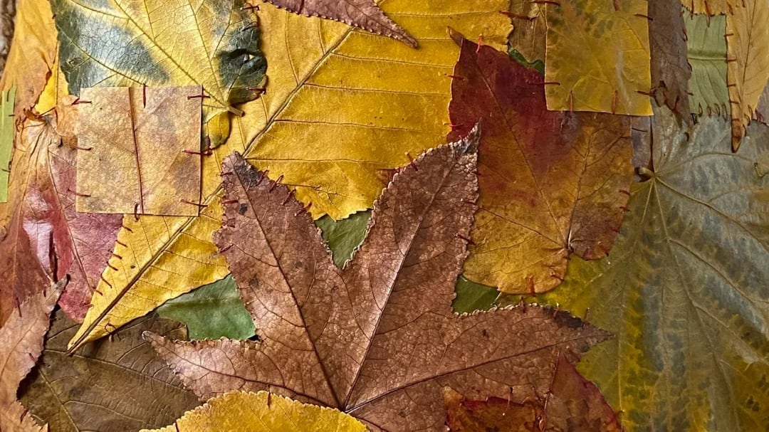 La artista Amanda Meyer sorprende al coser a mano un vestido único hecho completamente de hojas reales. Foto: Amanda Meyer.