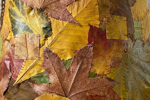 Vestido hecho de hojas difumina la línea entre la moda y la naturaleza