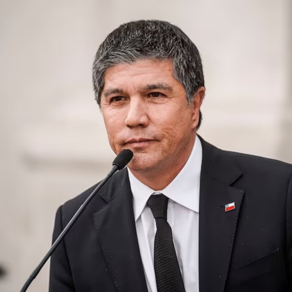 Funcionaria de La Moneda demanda al Estado por falta de protección Funcionaria de La Moneda demanda al Estado por falta de protección