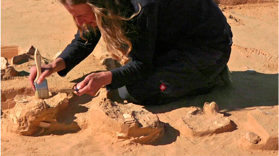 Arqueóloga recupera fragmentos encontrados no deserto de Israel