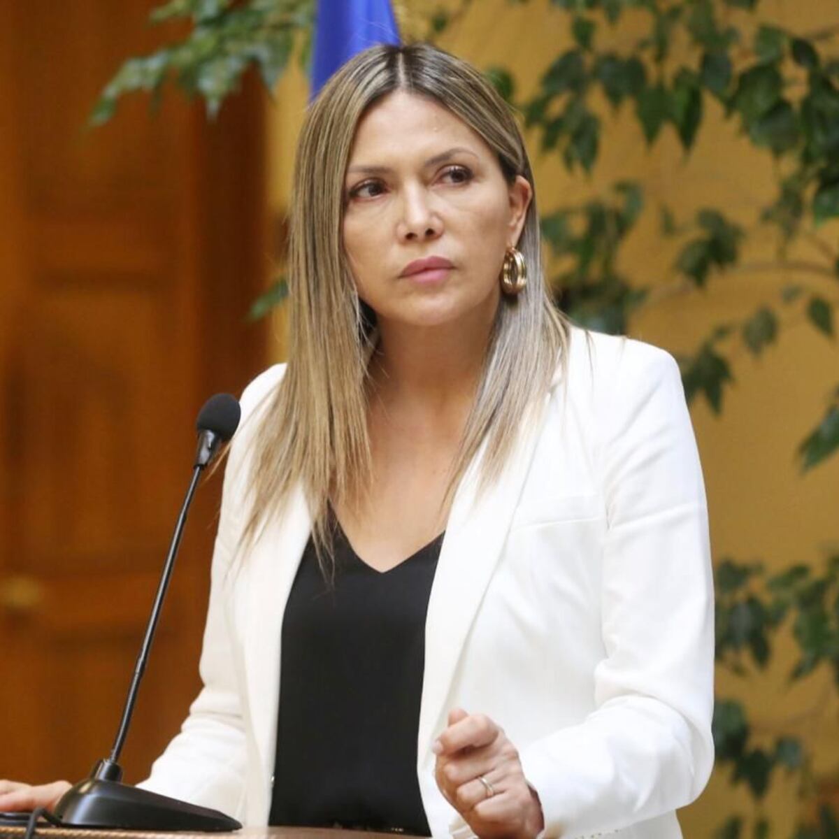 Diputada Pérez busca frenar maniobras en transiciones municipales Diputada Pérez busca frenar maniobras en transiciones municipales