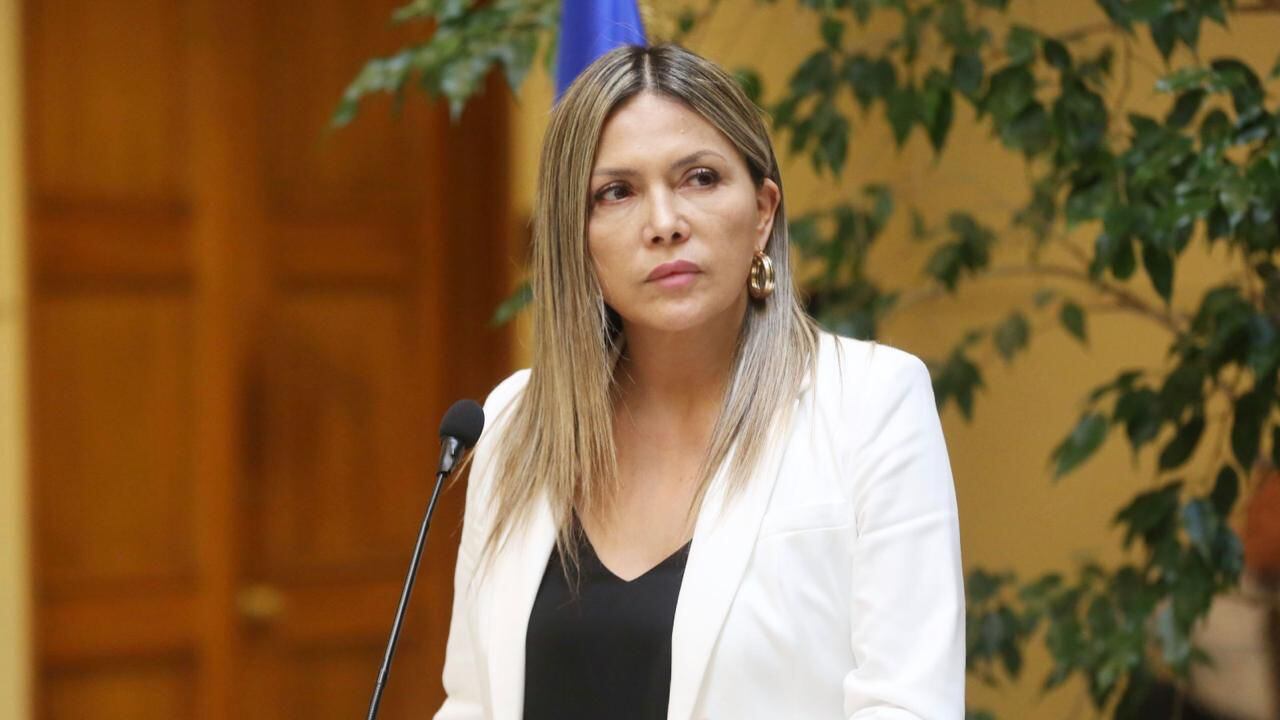 Diputada Marlene Pérez