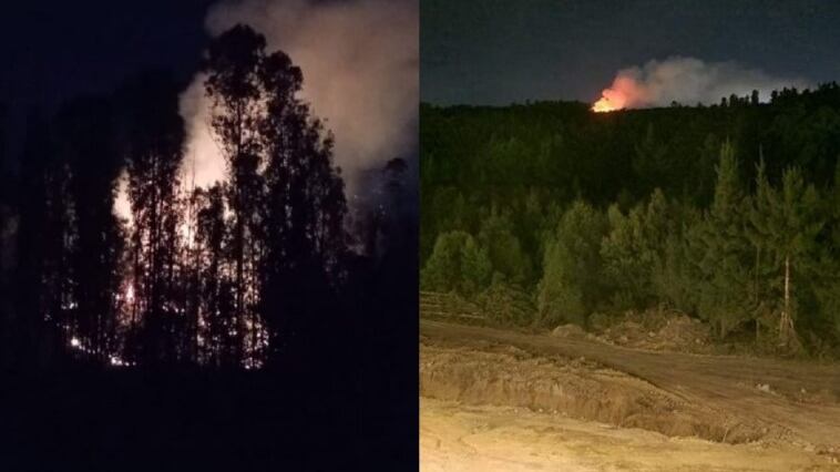 Incendio en valparaíso, captura red social X