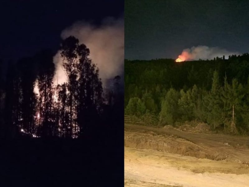 Declaran Alerta Roja en Valparaíso por incendio forestal