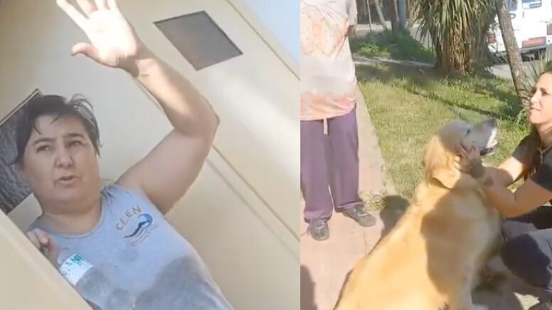 Viral mujer llevó a faenar a perrito