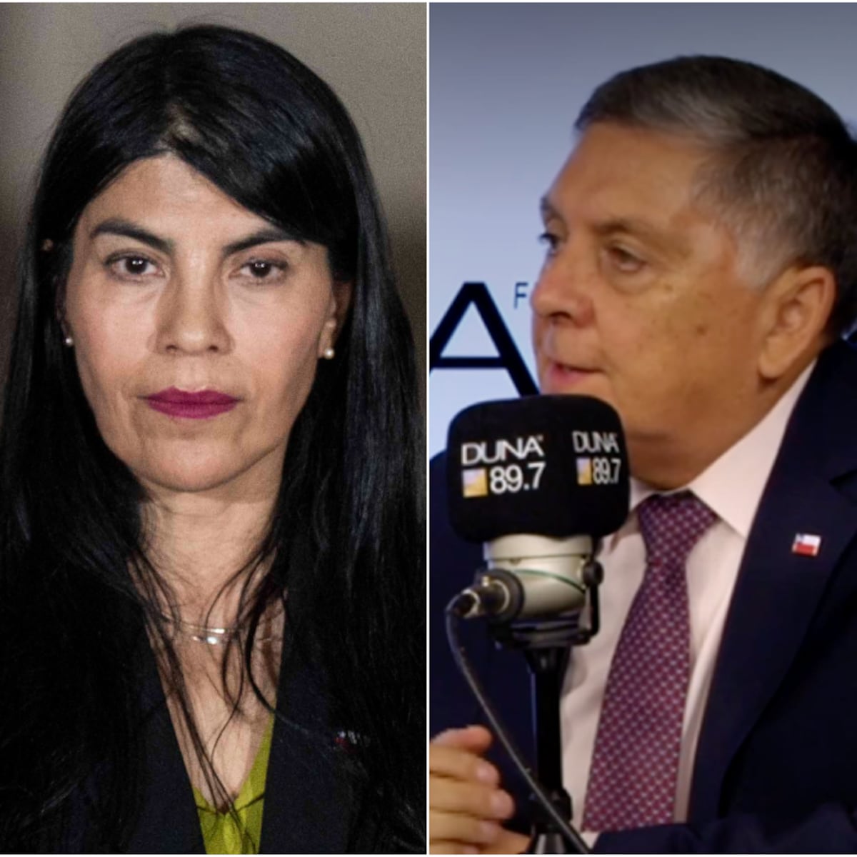 Ministro del Interior identifica a agresores de Ximena Lincolao como estudiantes Ministro del Interior identifica a agresores de Ximena Lincolao como estudiantes