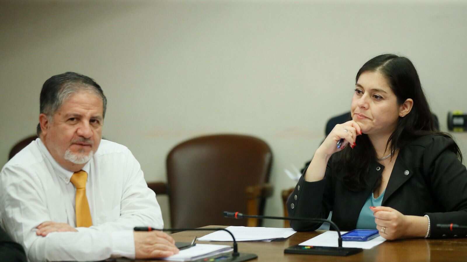 Diputados del Biobío piden al Gobierno transparentar impacto ambiental tras el cierre de Huachipato