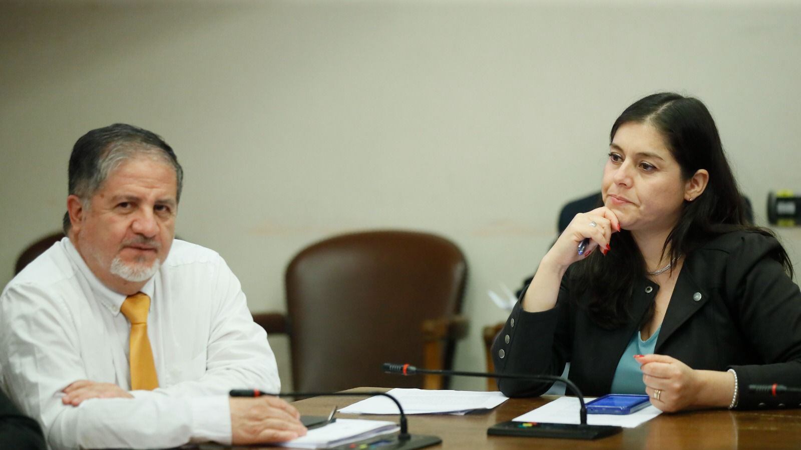 Diputados del Biobío piden al Gobierno transparentar impacto ambiental tras el cierre de Huachipato