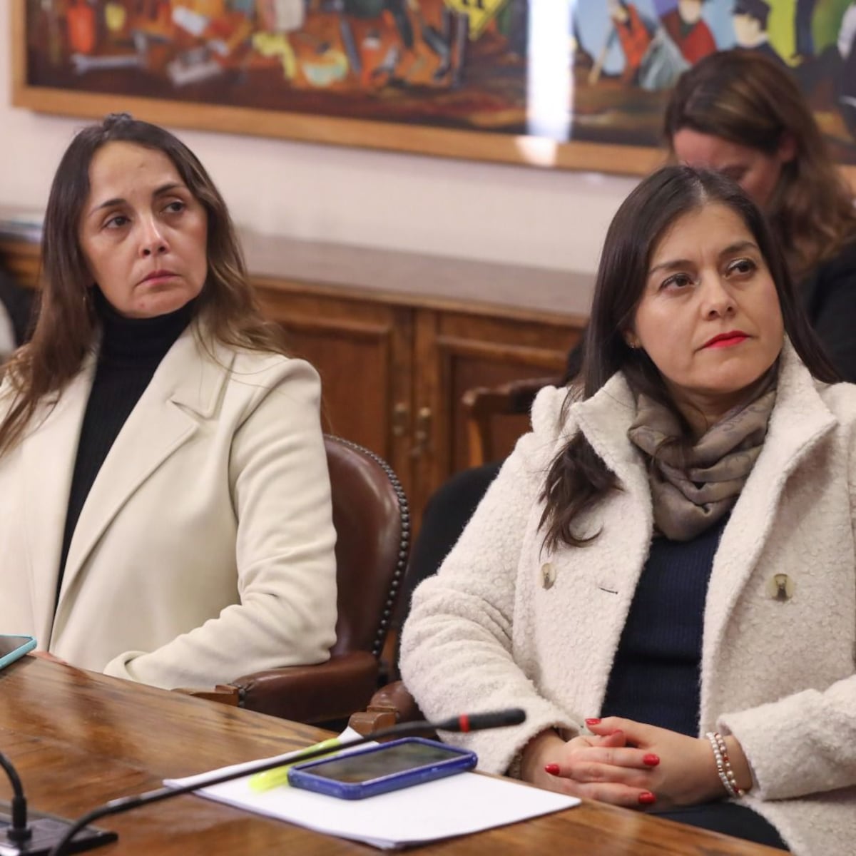 Diputadas piden acción ante estafas cibernéticas con falsos bonos estatales Diputadas piden acción ante estafas cibernéticas con falsos bonos estatales