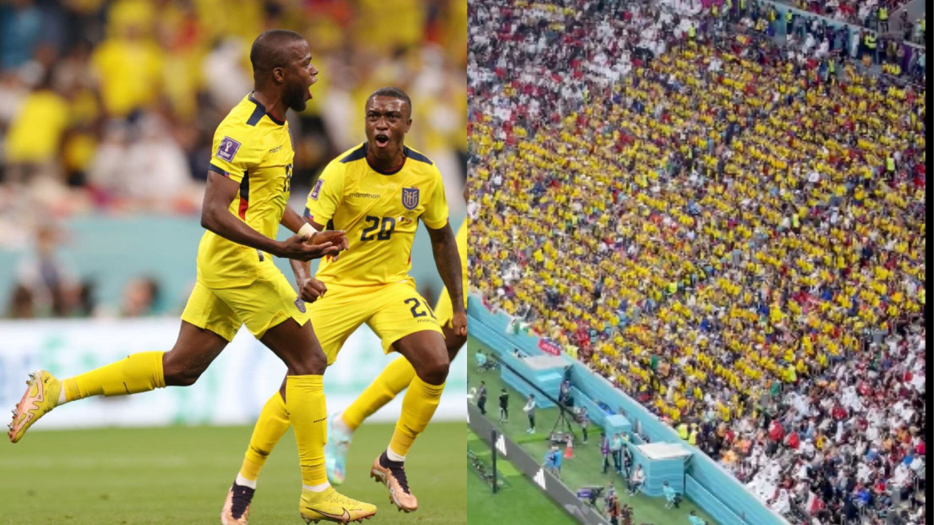 Hinchas de Ecuador y su cántico pidiendo cerveza.