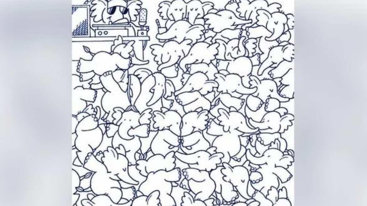 Encuentra la ballena oculta.