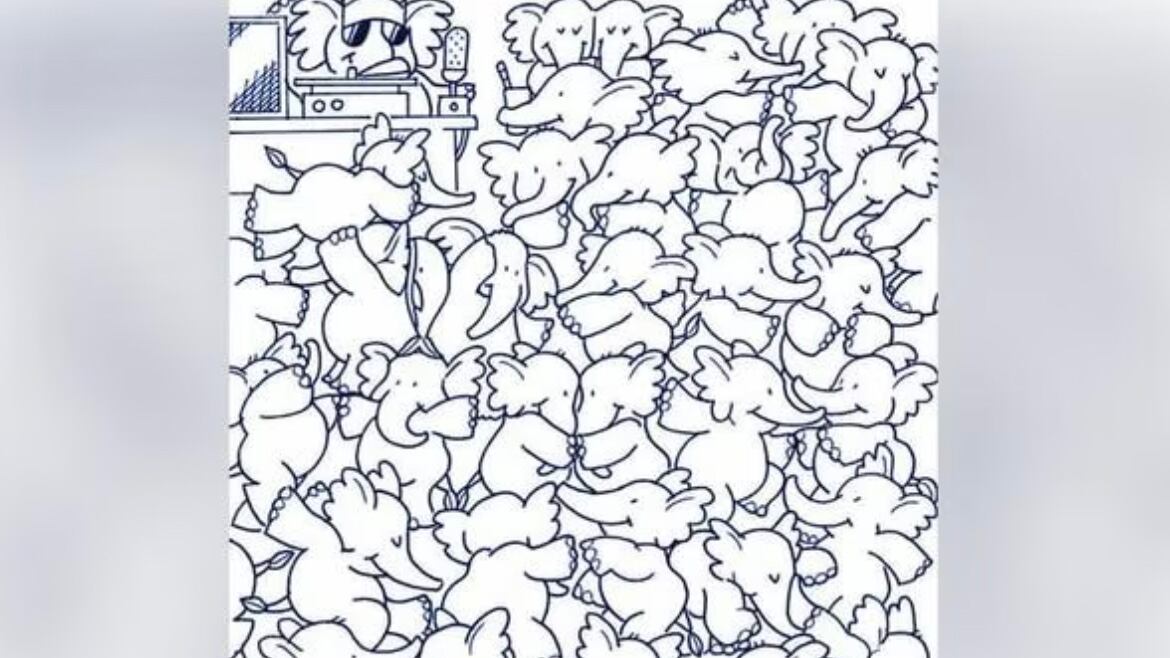 Encuentra la ballena oculta.